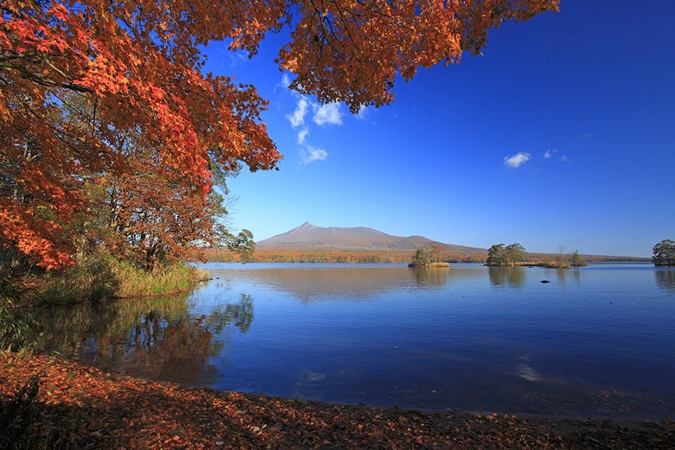 Hokkaido Travel Guide: Points Of Interest, Weather, Events, And More!