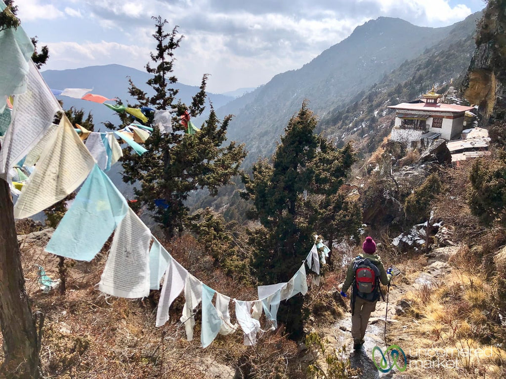 Bhutan Trekking: The Druk Path Trek and New Trans Bhutan Trail