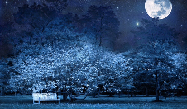 Out With the New, In With the Old